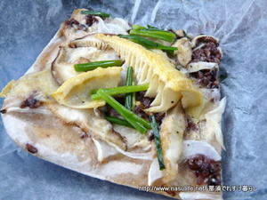 �֥饦��ޥ���ƥ�١����꡼��ˬ5