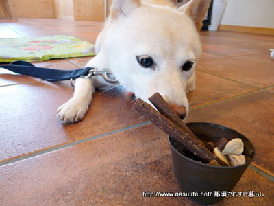 peache ピーチェ16