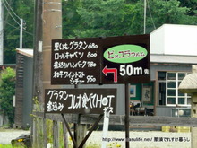 �ԥå��饦���1