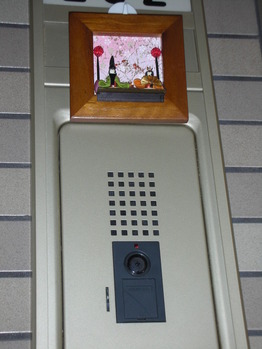 DSCN1289
