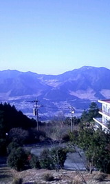 8505bd0a.jpg