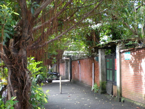 P2040946