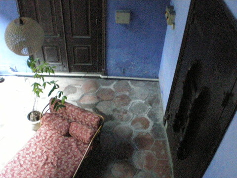 P5041155