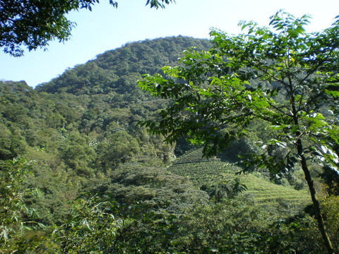 P2050964