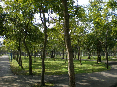 P2050960