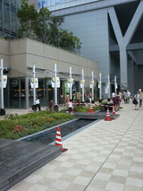 478ffc01.jpg