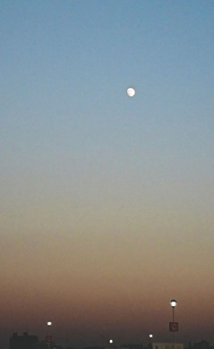 Fotor_150954537854429