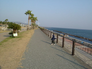 DSCF0945