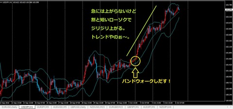 バイナリーオプション,バンドウォークについて