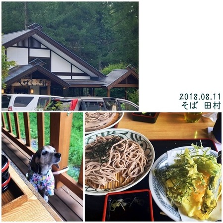 20180811_3_2