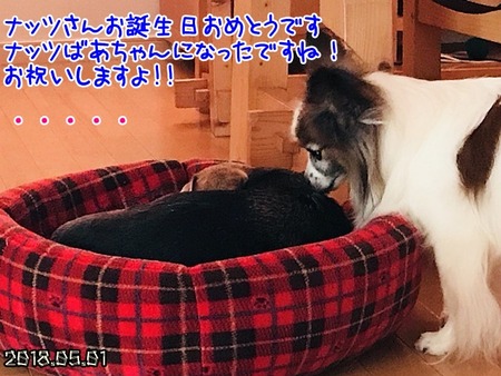 20180502_03