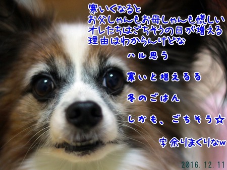20161212_03