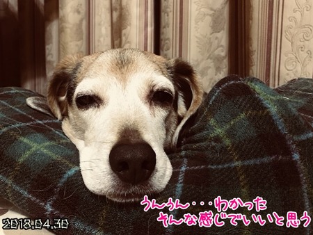 20180502_02