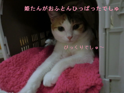 º£¤Î¤Ï¤¤¤Ã¤¿¤¤¡¦¡¦¡¦