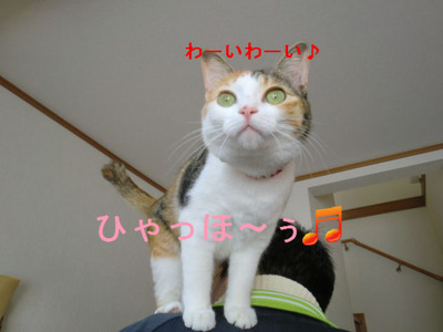 ¤¿¤«¤¤¤¿¤«¡¼¤¤¡ª