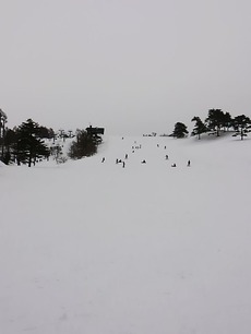 KIMG0926