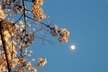 IMG_1862web