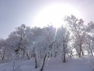 KIMG0908