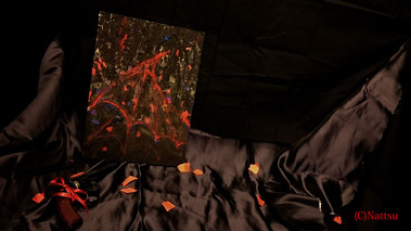 Chaos-photo