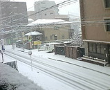 雪景色
