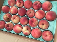 9��2������¼��������������