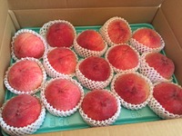 8��2������¼���������Ĥ�