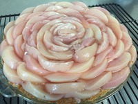 0F671E7F-1AC2-4EA4-B543-2306969F7CD8