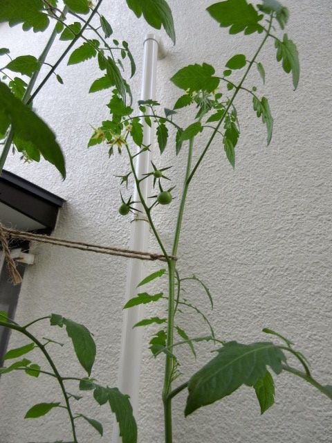 fullsizeoutput_2187