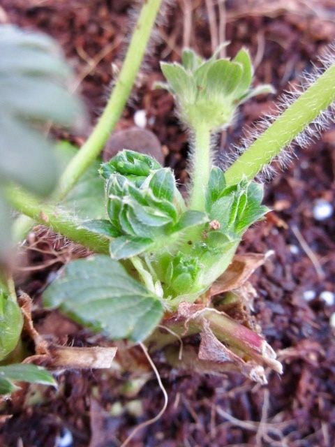 fullsizeoutput_24f5
