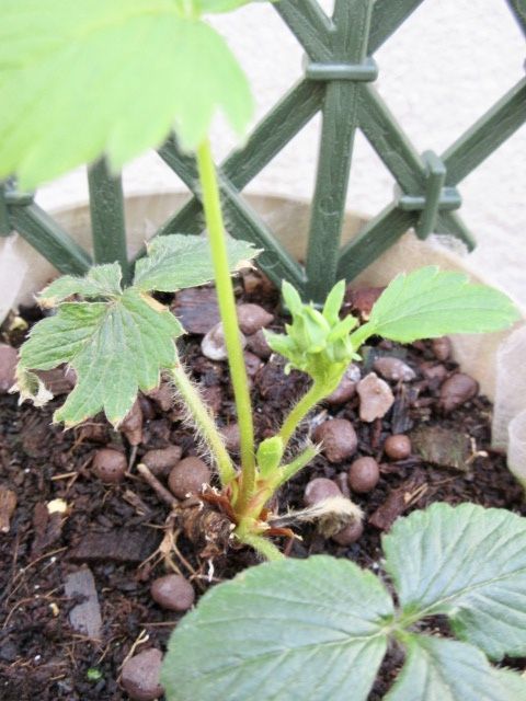 fullsizeoutput_24f4