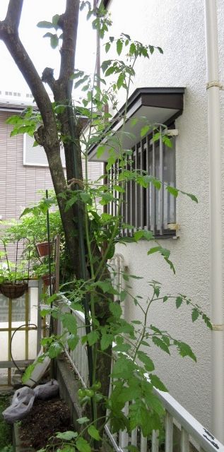 fullsizeoutput_2182