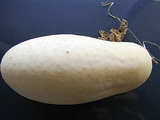 Çò¥¥å¥¦¥ê