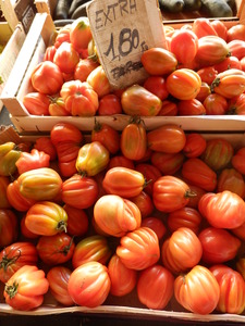 P7050508