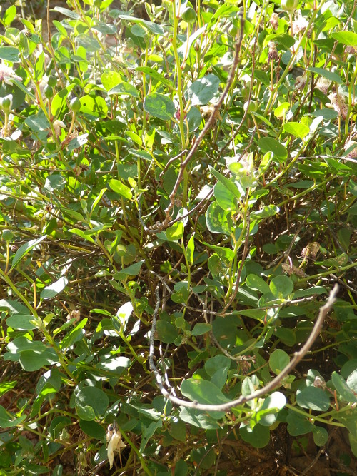 P7040428