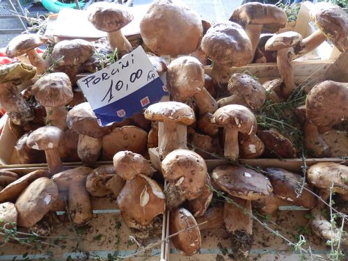 P7050506