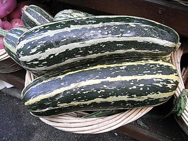 RIMG1134