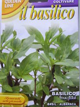 Basilico Thai siam