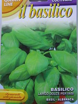 Basilico dolce per vasi