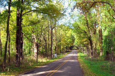 fallroad