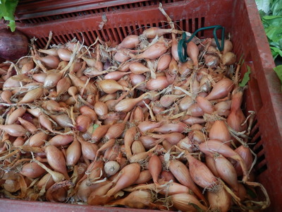 PB030183