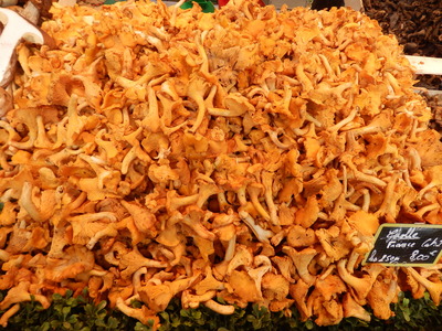 PB030221