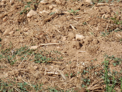 P7160049
