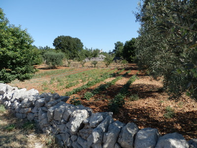 P7160035