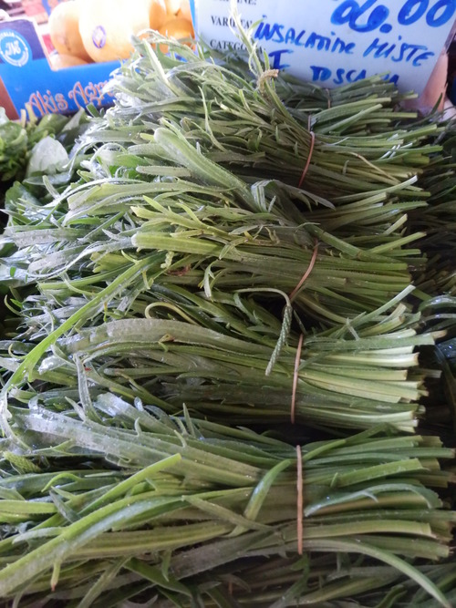 P7050469