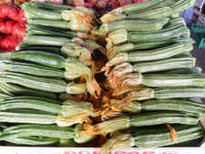 P7050458