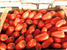 P7050518