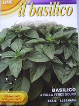 Bacilico verde scuro