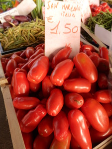 P7050505