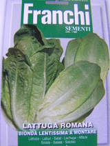 84-13 bionda