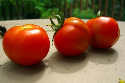 ital_tomatoes